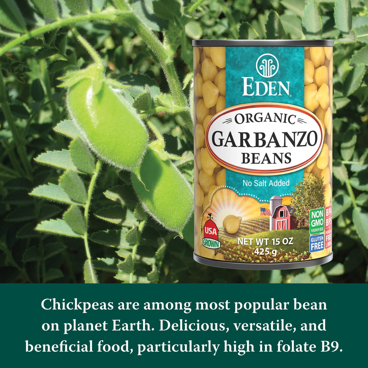 Ingredients label on Eden Garbanzo Beans highlights no salt added and organic sourcing.