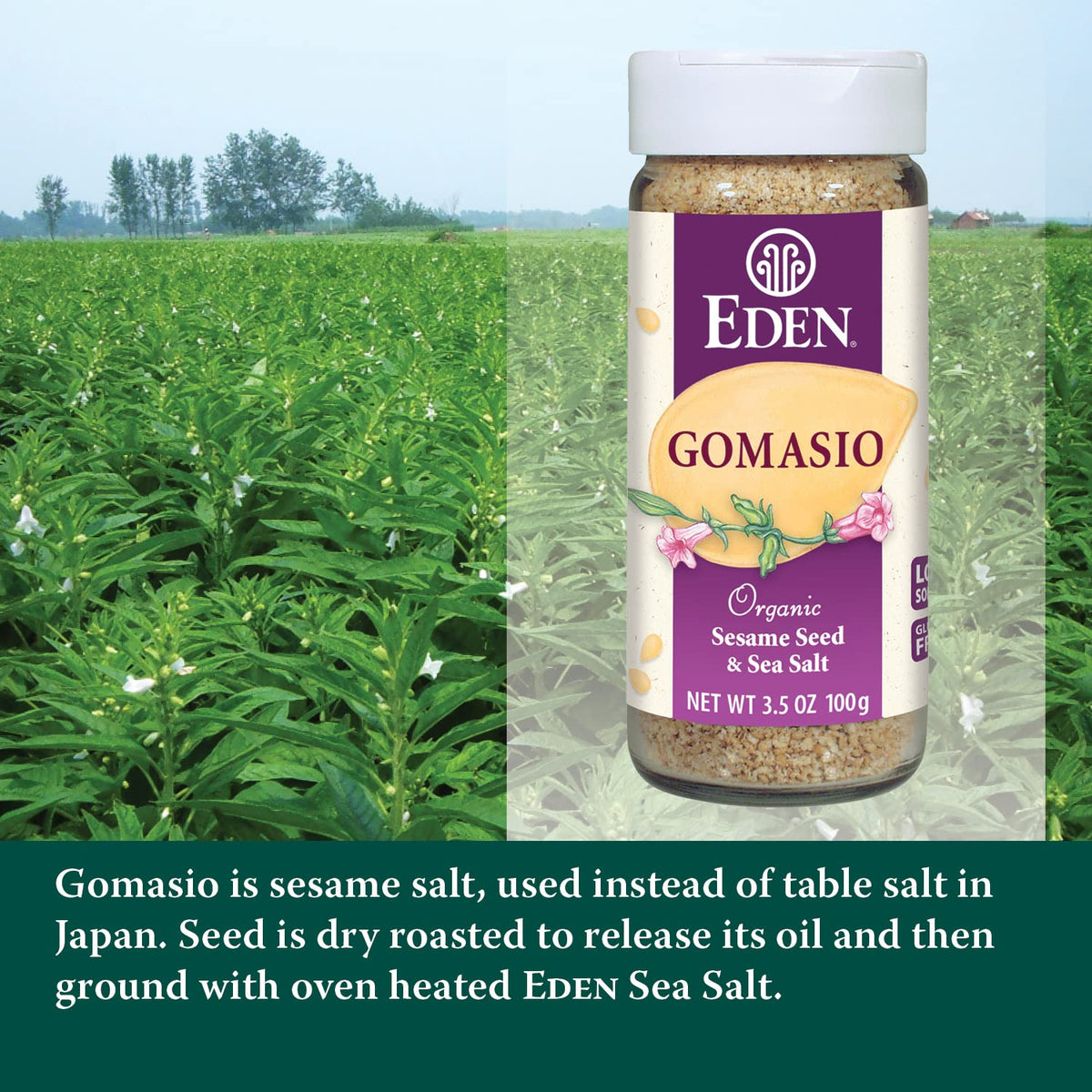 Eden Organic Gomasio sprinkled on a fresh salad for savory depth.