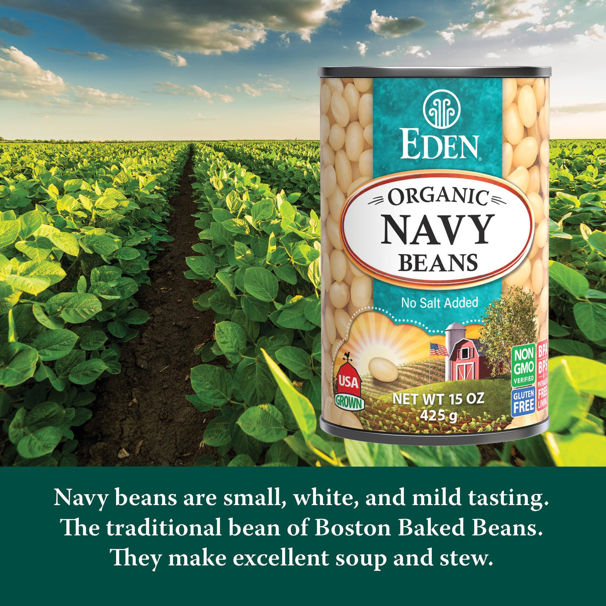 Eden navy beans with open can—no salt, versatile base