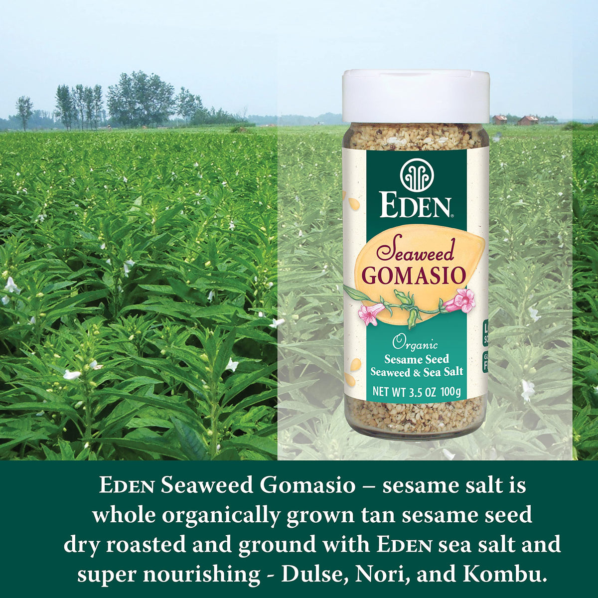 Eden Gomasio sprinkled onto a fresh salad