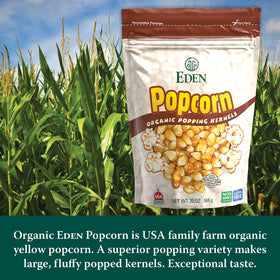 Popping action of Eden kernels expanding into light, fluffy popcorn.