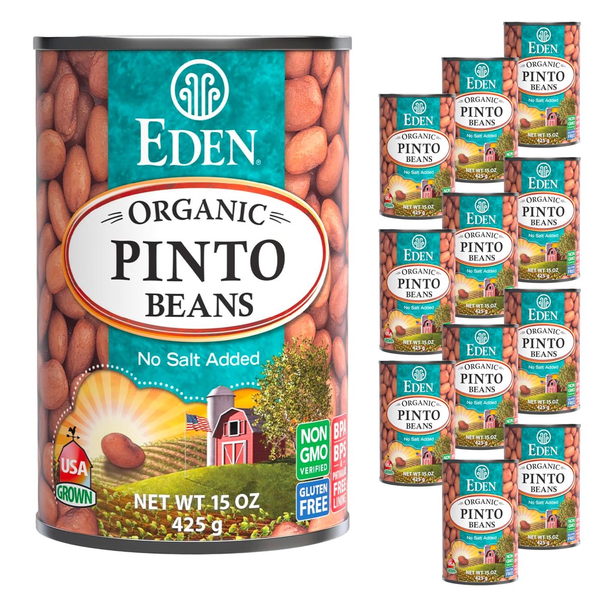 Eden Pinto Beans can close-up highlights protein-rich pantry staple