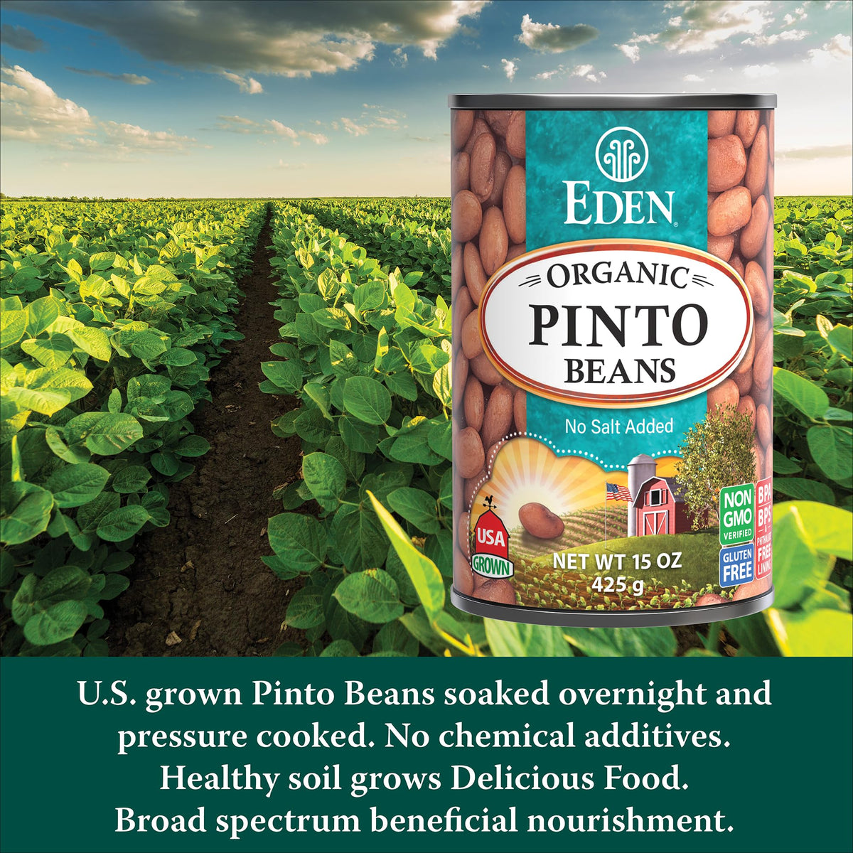 Eden Pinto Beans served in a steaming bowl for easy meals
