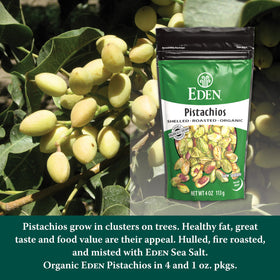 Eden Pistachios resealable pouch keeps freshness for travel and everyday snacking.