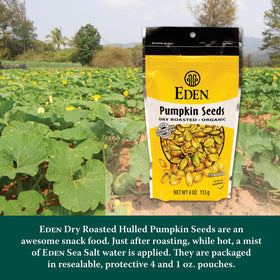 Pouring Eden pumpkin seeds into a hand for on-the-go snacking.