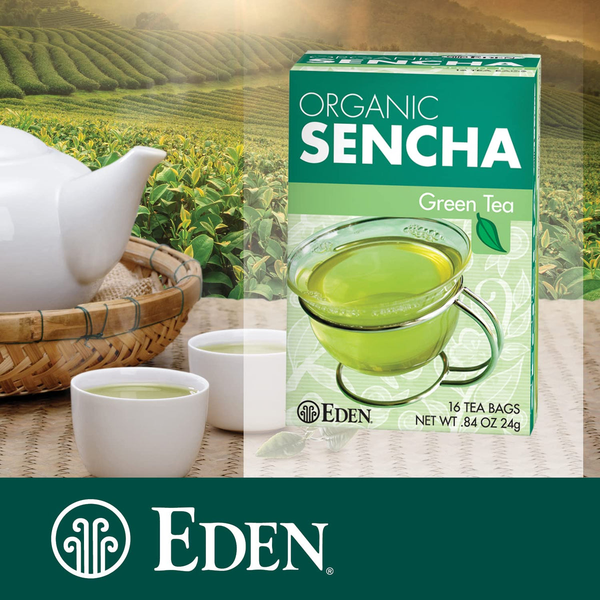 Unbleached Manila tea bags protect flavor in Eden Sencha packaging.