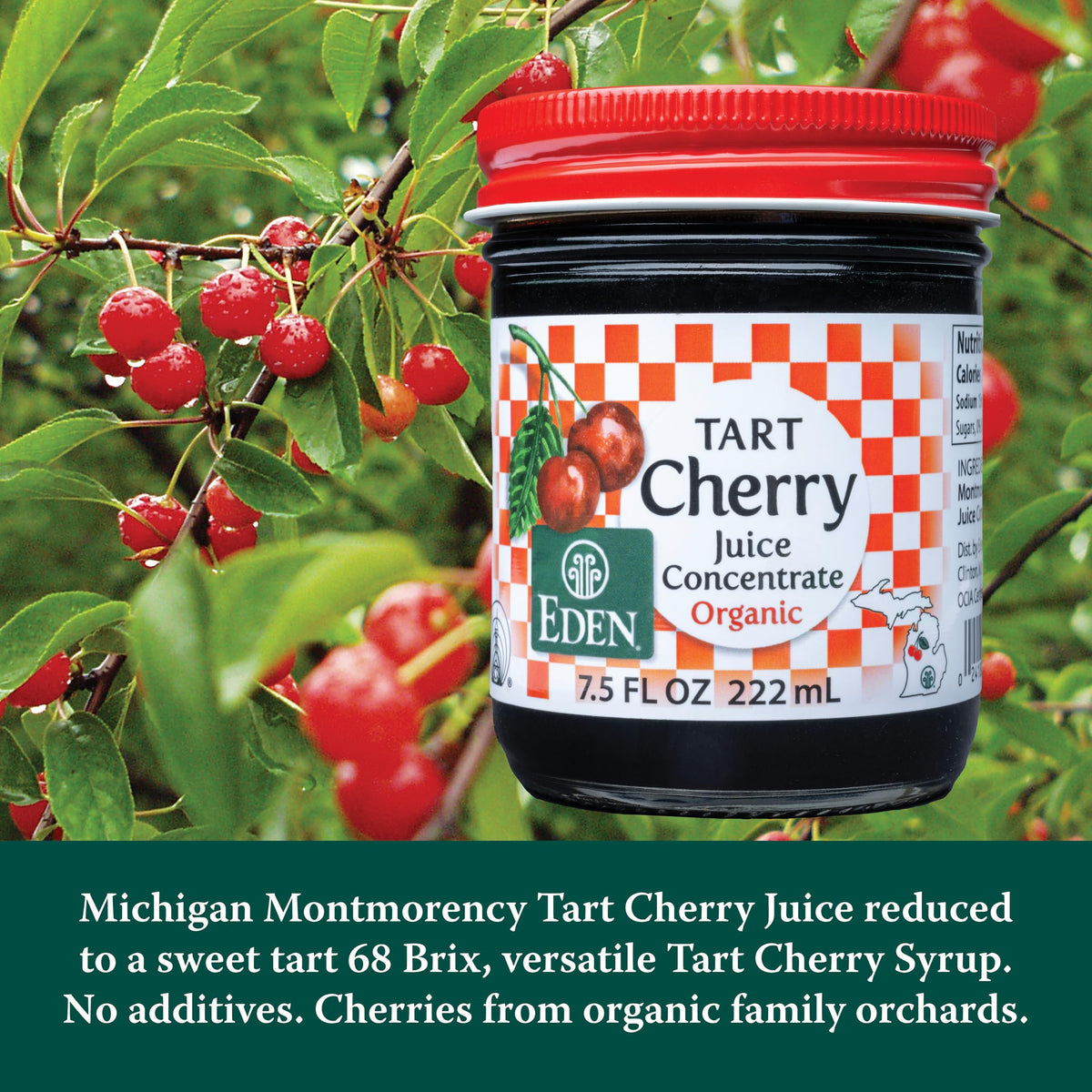 Eden Tart Cherry Juice Concentrate pour into glass, ideal for smoothies and sauces.