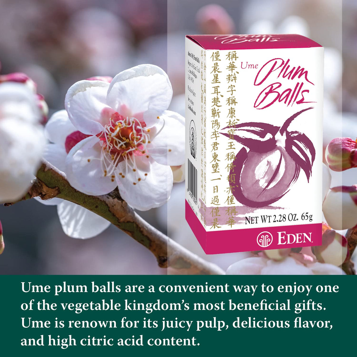 Eden Ume Plum Concentrate bottle demonstrates versatile daily use.