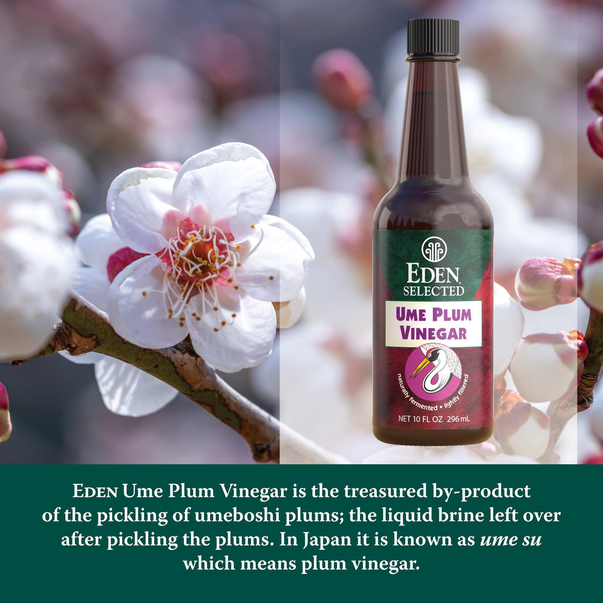 Close-up of Eden Ume Plum Vinegar label showing traditional craftsmanship