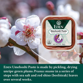 Eden Umeboshi Paste jar open texture highlights sun-dried aging depth