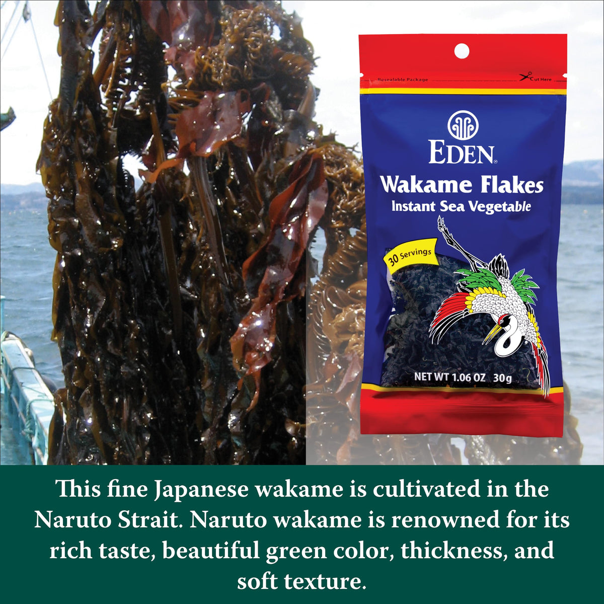 EDEN Wakame Flakes simmering in broth, enriching soups with subtle sweetness.