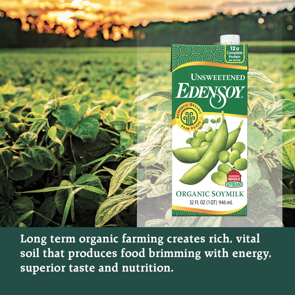 Edensoy unsweetened soymilk in a blender for a smoothie base
