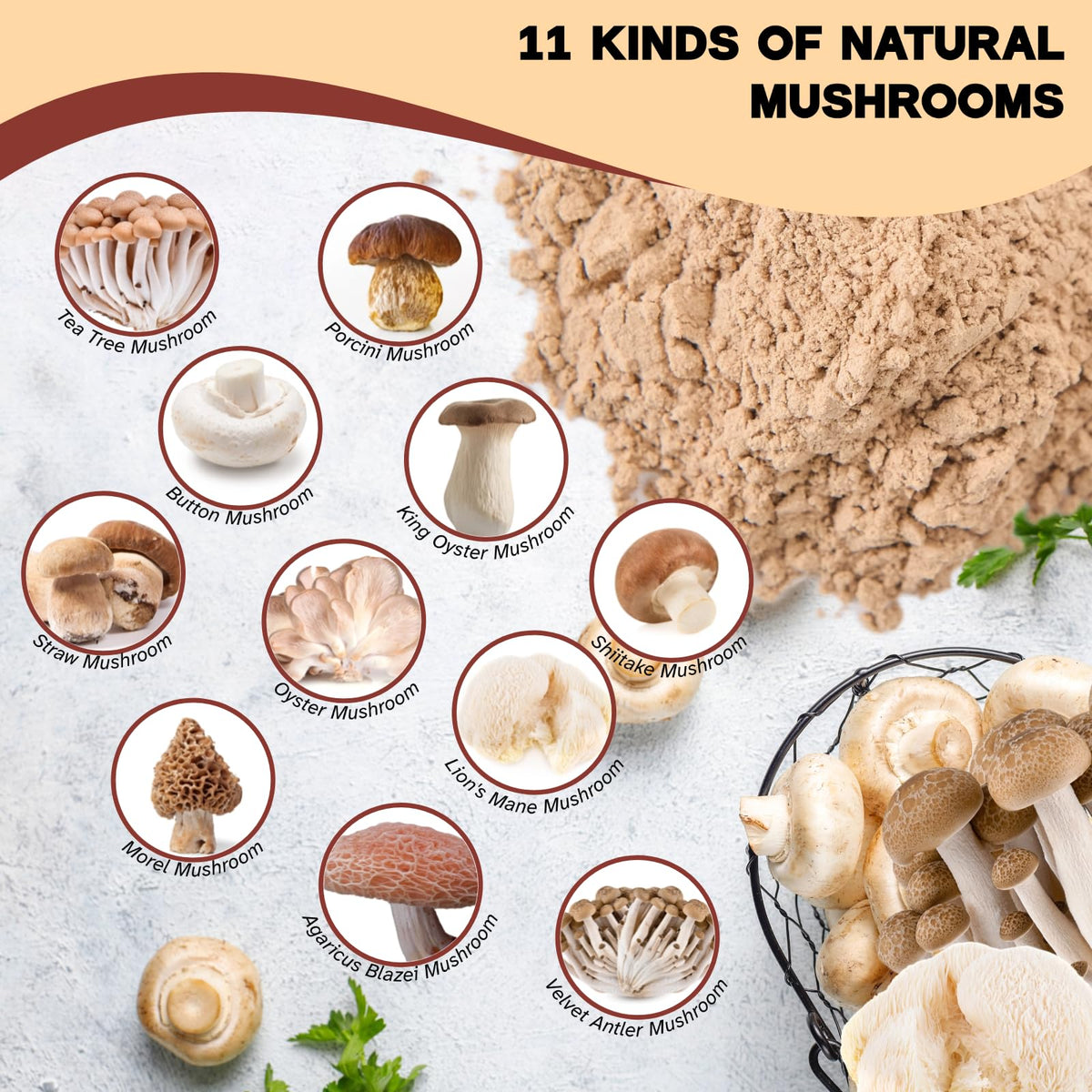 Egcina dried mushroom powder texture scoop – fine texture blends into hot or cold dishes.