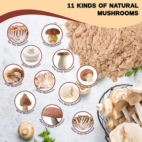 Egcina dried mushroom powder texture scoop – fine texture blends into hot or cold dishes.