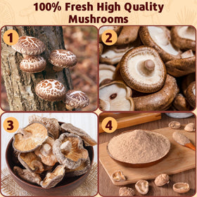 Egcina Shiitake powder over a pan during a stir-fry for bold seasoning.