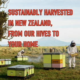 Egmont Honey Manuka bottle label shows purity, non-GMO quality, and New Zealand origin.