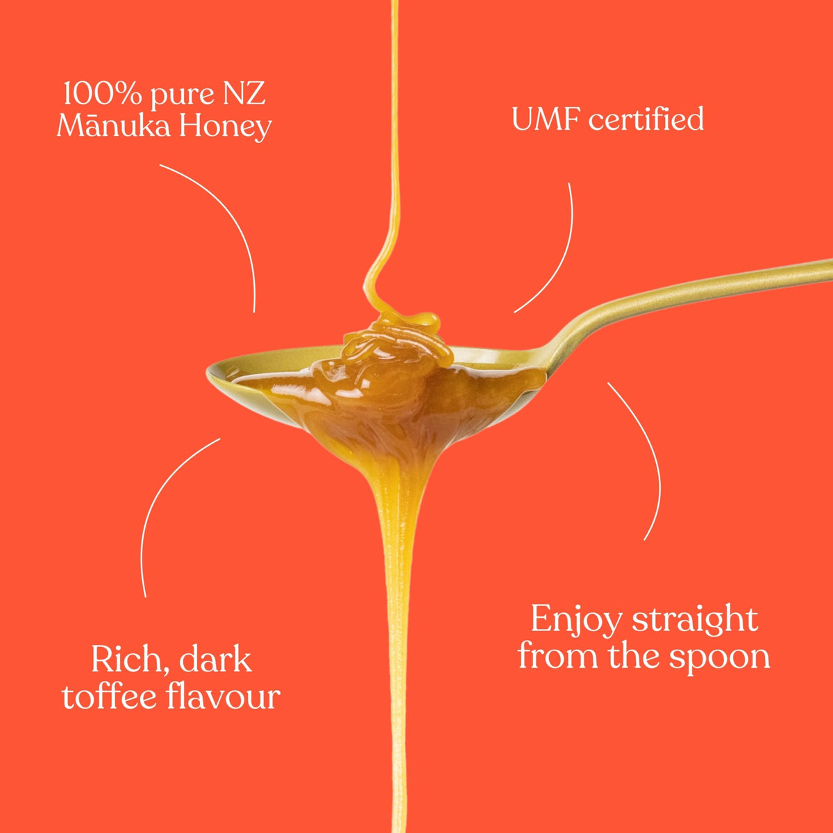 Egmont Honey spoonful in tea for versatile daily ritual