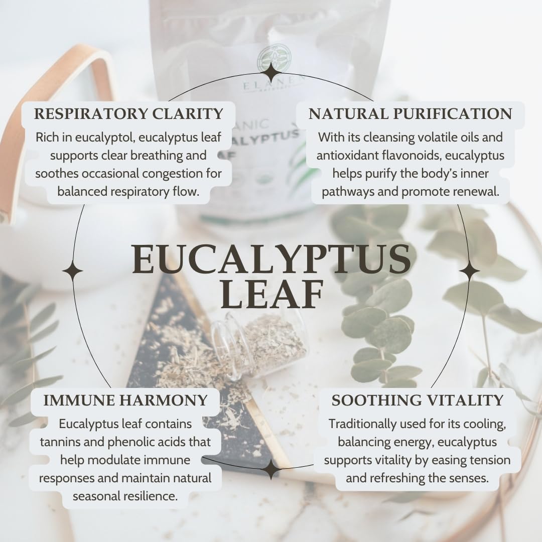 Elanen Naturals cut and sifted eucalyptus leaves on a light surface for bright brews