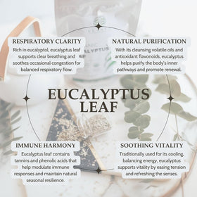 Elanen Naturals cut and sifted eucalyptus leaves on a light surface for bright brews
