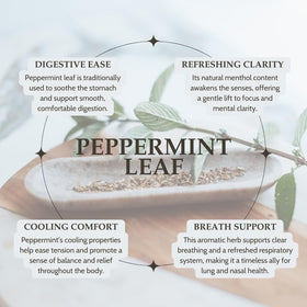 Elanen Naturals dried peppermint leaves closeup with bright aroma