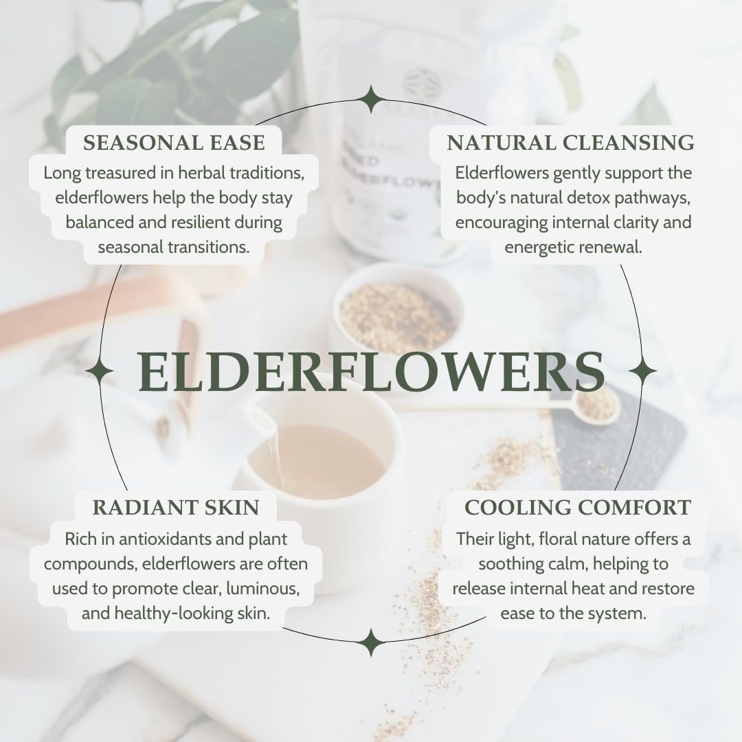 Elanen Naturals elderflower close-up shows delicate blooms and aroma