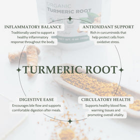 Elanen Naturals turmeric root ideal for tea blends with warm color