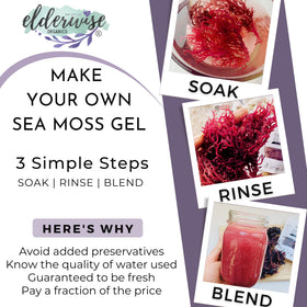 Elderwise Raw Sea Moss Purple, sundried texture and non-GMO authenticity for prep.