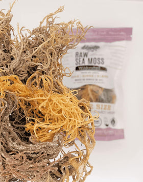 Close-up of Elderwise Rainbow Gel texture, ideal for smoothies.