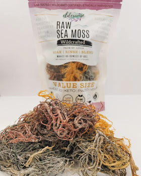 Elderwise Sea Moss raw block ready for soaking and mineral preservation
