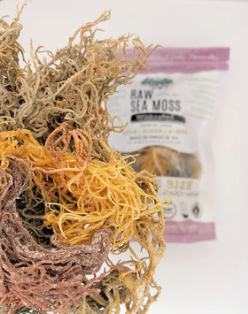 Soak, rinse, and blend process for Elderwise Sea Moss gel