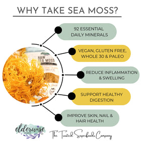 Elderwise Wildcrafted Harvest sea moss, sun dried batch preserving minerals and natural flavor