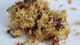Elderwise sea-moss-yogurt-dressing enriches bites with minerals and creamy texture