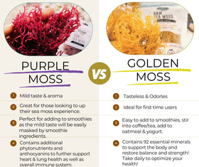 Elderwise Sundried Sea Moss Purple, preserved natural profile with purple hue.