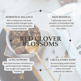 Elanen Naturals Albania-origin red clover blossoms, clean and sustainably sourced