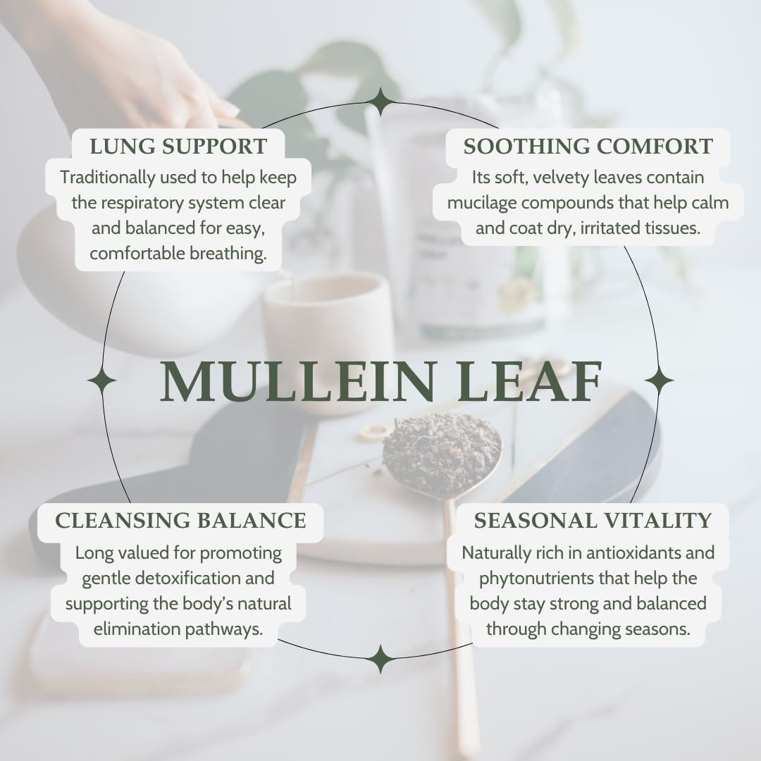 Elanen Naturals Albania-sourced mullein leaf highlights natural herbal quality.