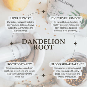 Elanen Naturals Dandelion Root pieces show earthy textures and natural color.