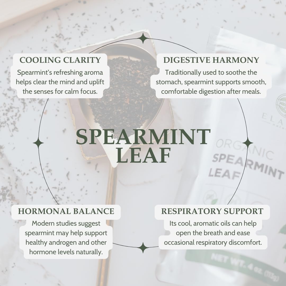 Elanen Naturals Loose spearmint tea display ready for brewing and refreshing cups