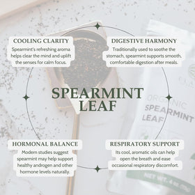 Elanen Naturals Loose spearmint tea display ready for brewing and refreshing cups