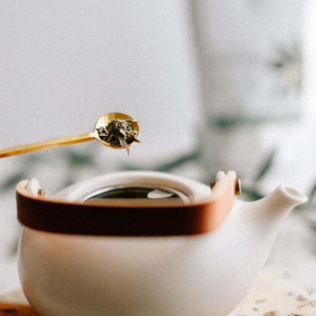 Elanen Naturals Organic Olive Leaf Tea facility demonstrates GMP quality control.