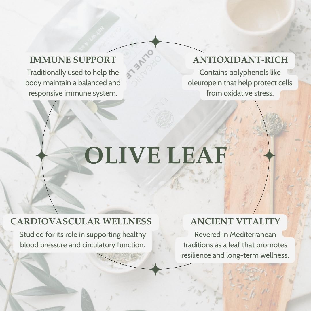 Elanen Naturals Organic Olive Leaf Tea loose leaves ready for a gentle brew.