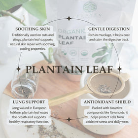 Elanen Naturals USDA Organic label close-up confirms certified purity.