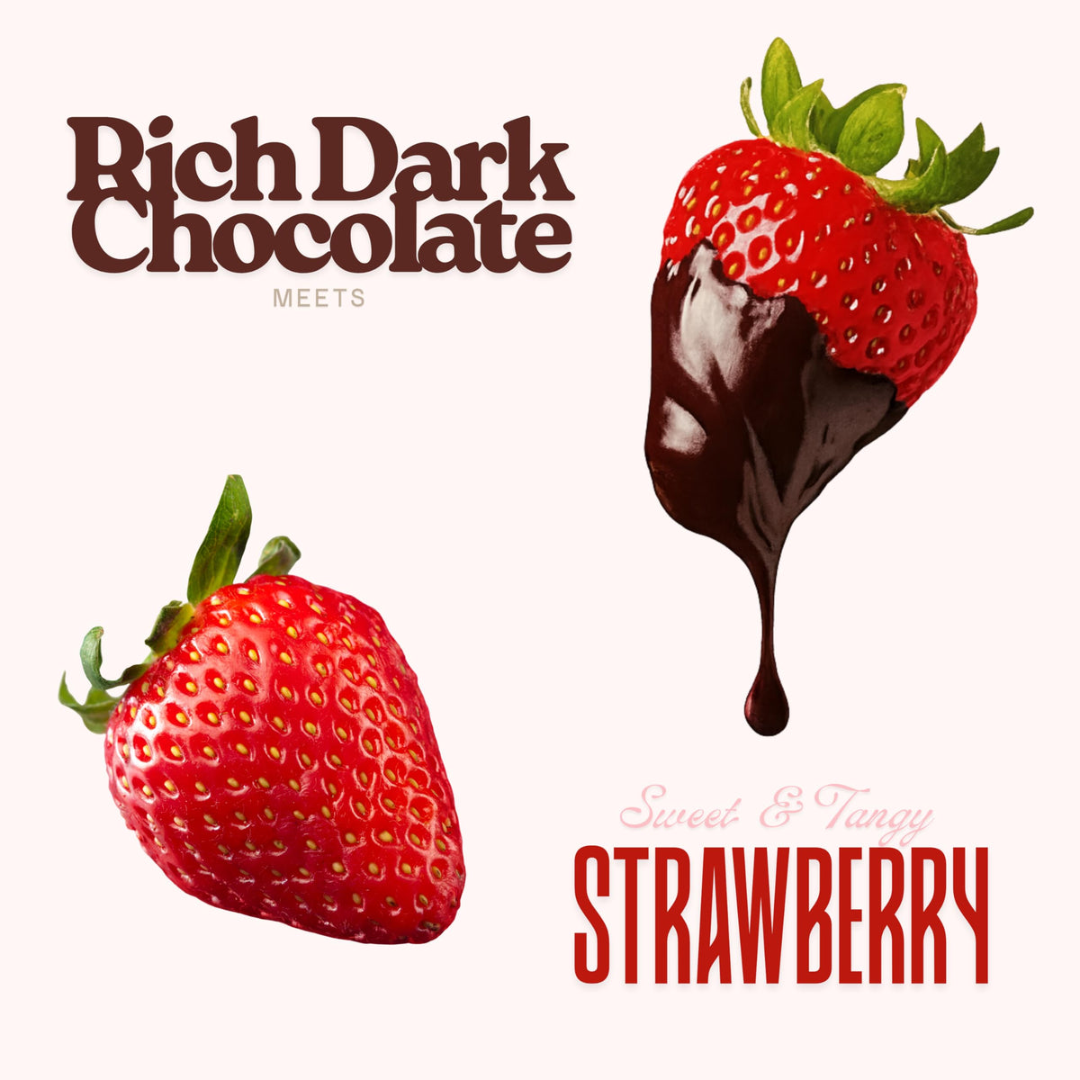 Elephant Park rich dark chocolate coating complements tart fruit flavors beautifully.