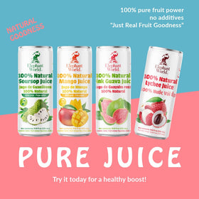 Elephant World soursop juice ready-to-drink — low-calorie, gluten-free beverage option.