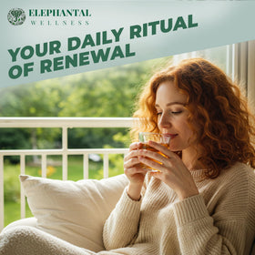 Elephantal detox tea cilantro-parsley blend shows herbal cleansing ingredients and fresh aroma