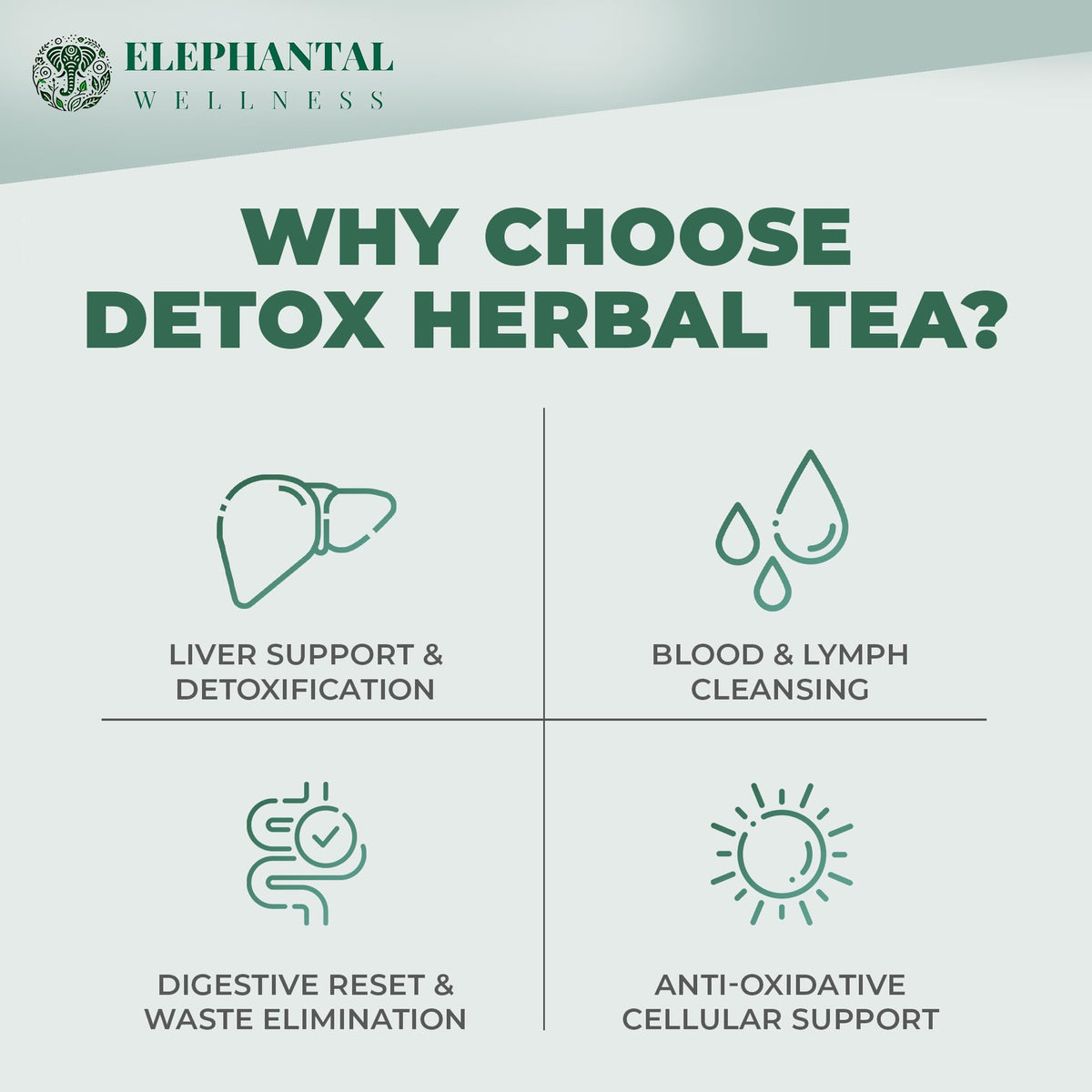 Elephantal Wellness Detox Tea label art emphasizing natural ingredients