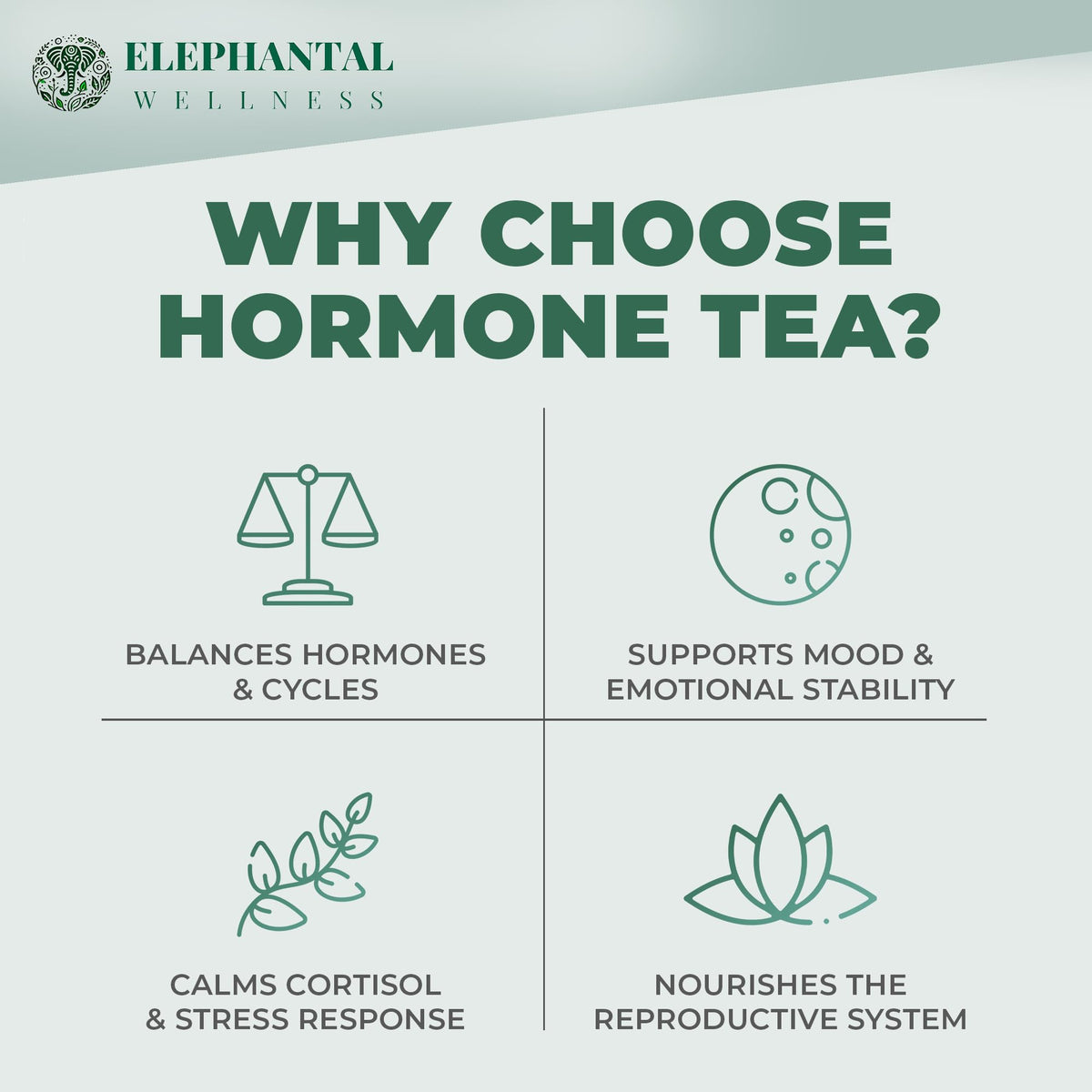 Elephantal Wellness dried herbs blend suggesting balanced cycles and comfort