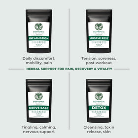 Elephantal Wellness loose-leaf tea close-up reveals high-potency botanicals.