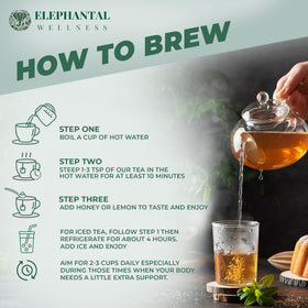 Elephantal Wellness Premium Well Balanced Tea Mount Shasta facility handcrafted quality