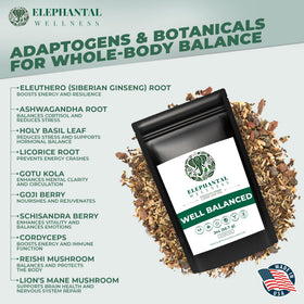 Elephantal Wellness Premium Well Balanced Tea steeping brew with steady energy