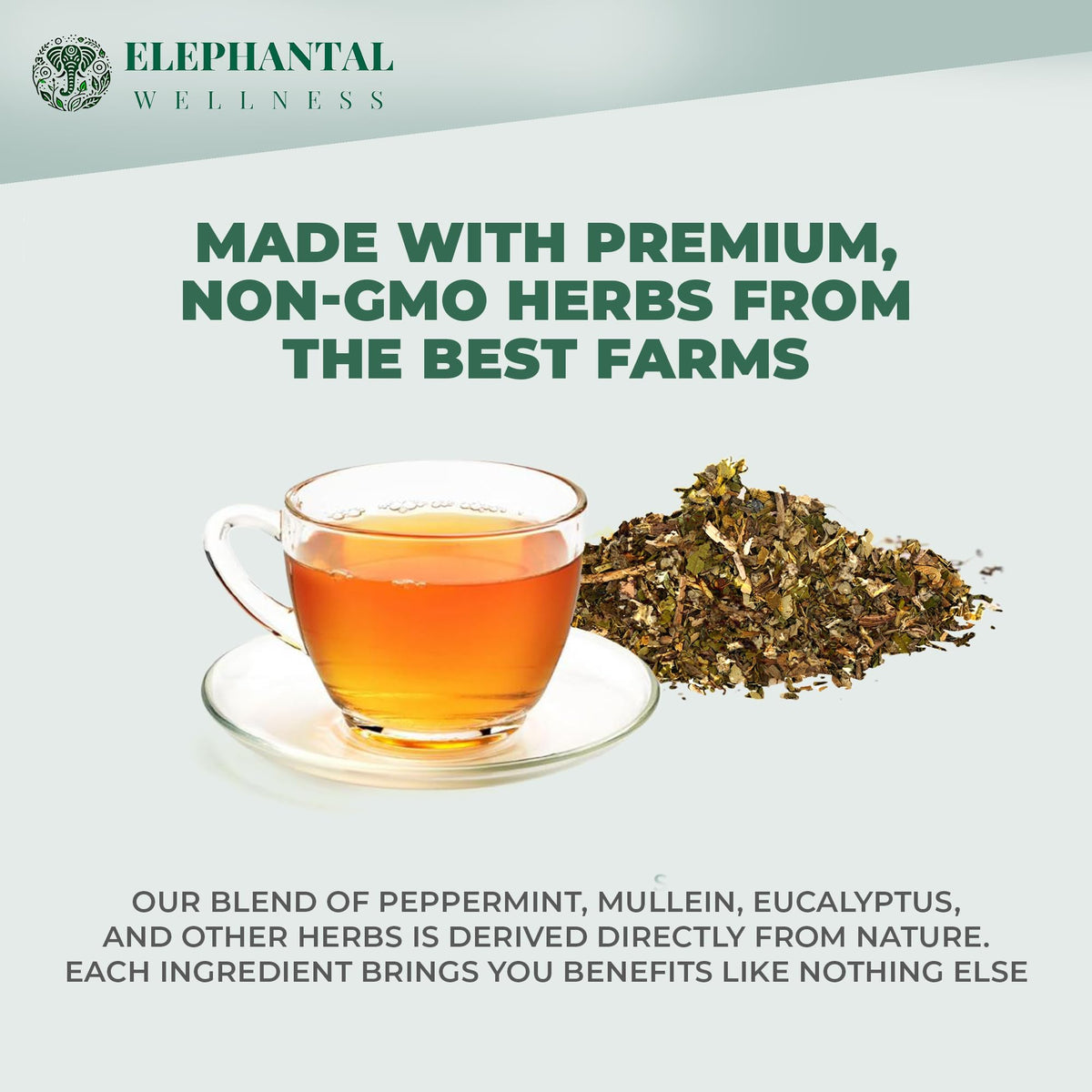 Elephantal Wellness Premium Respiratory Herbal Tea mullein leaves close-up for lung detox.